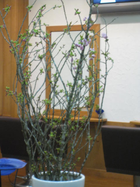 c0177951_1823840.jpg