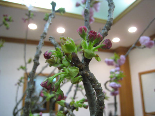 c0177951_1824655.jpg
