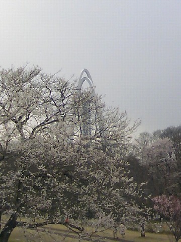 a0132056_19132546.jpg