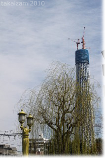 e0139056_8303971.jpg