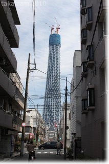e0139056_8305381.jpg