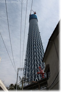 e0139056_831380.jpg