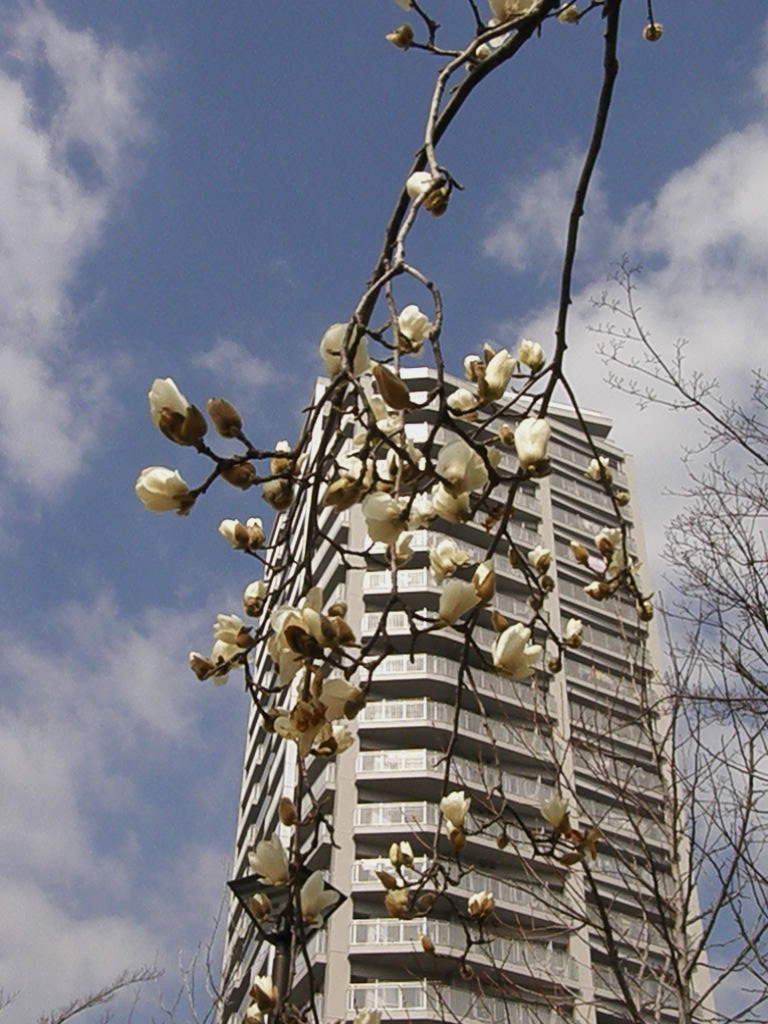 e0064158_23154015.jpg