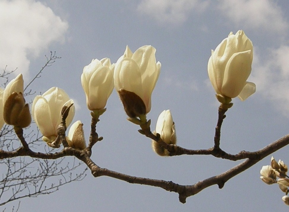 e0064158_23171810.jpg