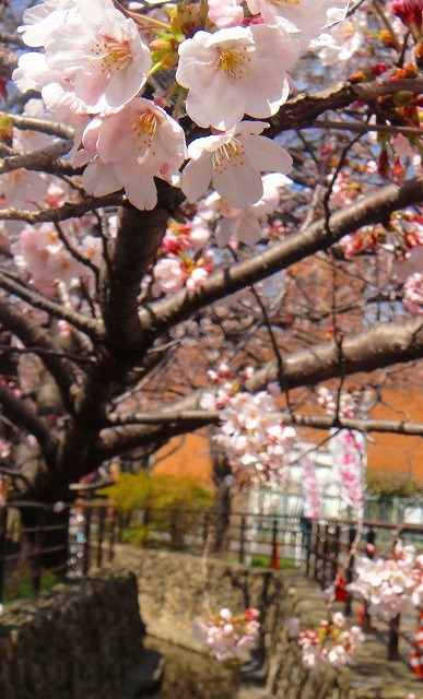 c0119160_15475219.jpg