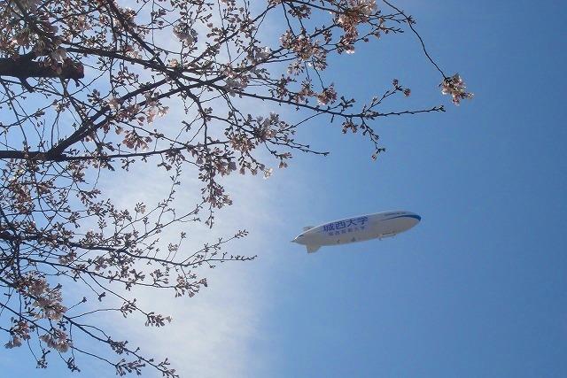 c0119160_15483770.jpg