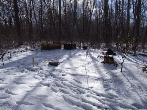 e0088260_12354232.jpg