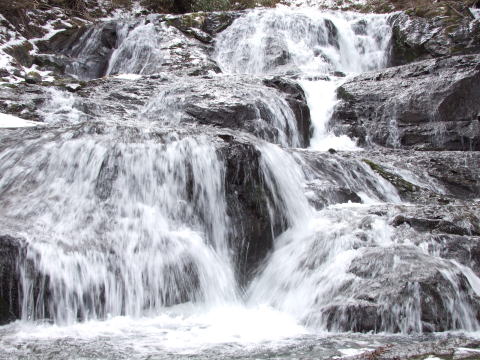 e0088260_1240830.jpg