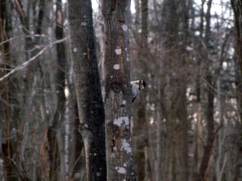 e0088260_12445847.jpg