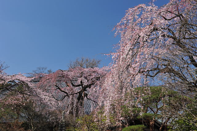 f0222161_21462058.jpg