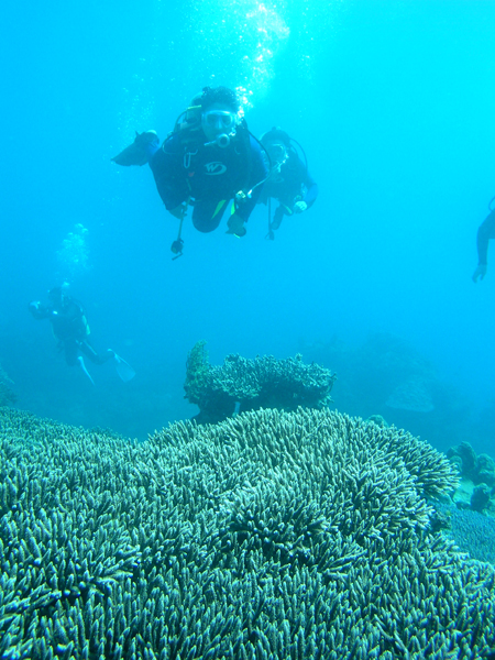 b0062363_21174569.jpg