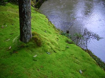f0195963_19173616.jpg