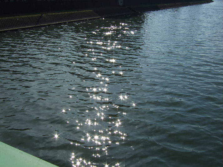 e0071165_1656616.jpg