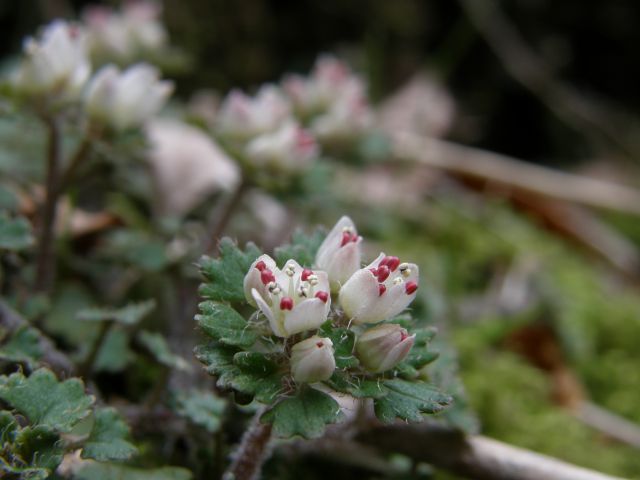 c0042869_20552148.jpg