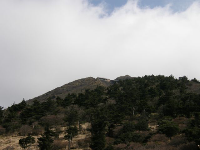 c0042869_20581059.jpg