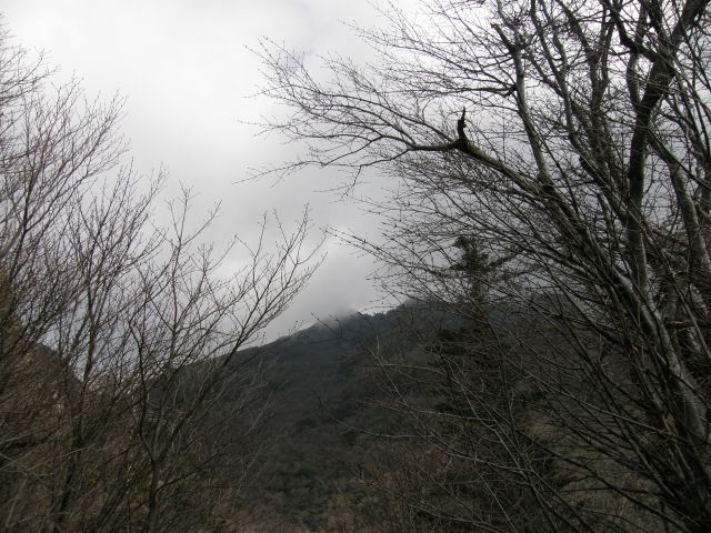 c0042869_2112874.jpg