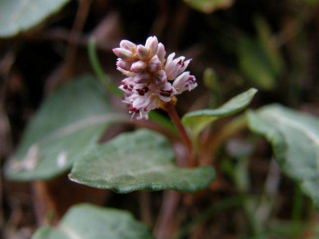 c0042869_2114084.jpg