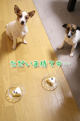 f0132772_2212398.jpg