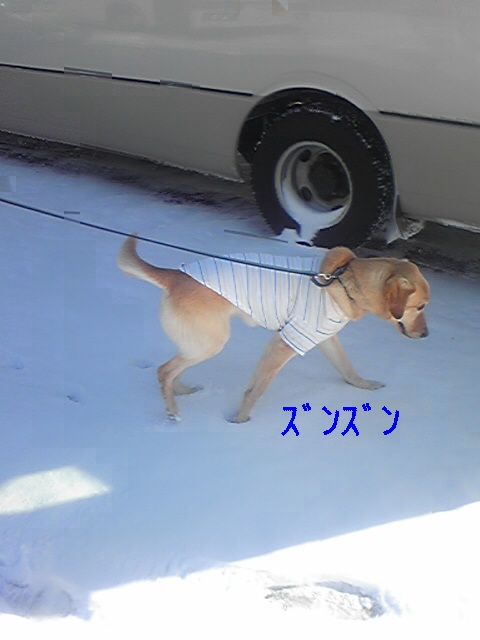 a0035074_20313536.jpg