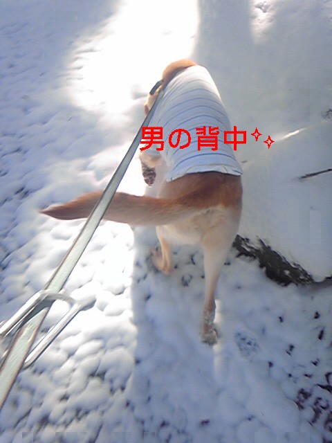a0035074_219098.jpg