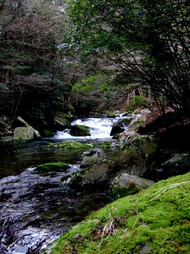 c0220175_1354610.jpg