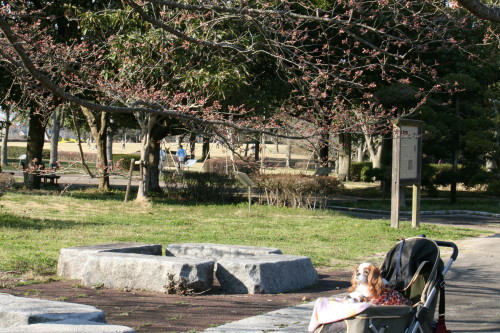 e0114977_23572837.jpg