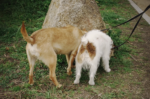 c0117383_212629.jpg