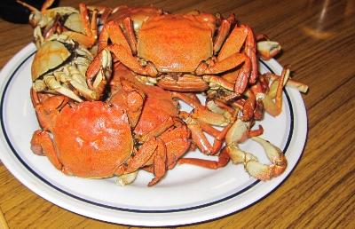 f0003283_9262795.jpg