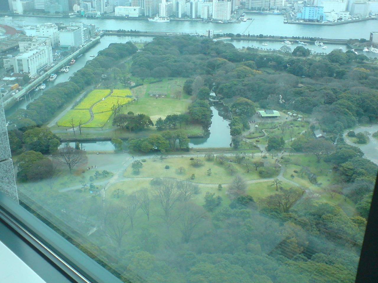 d0151485_1148653.jpg