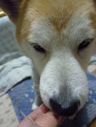 c0123890_2137263.jpg