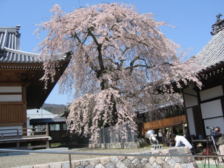 f0212993_184402.jpg
