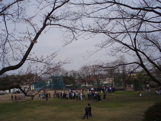 f0130894_19423086.jpg