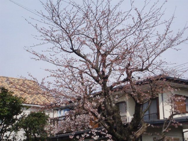 f0130894_1943927.jpg