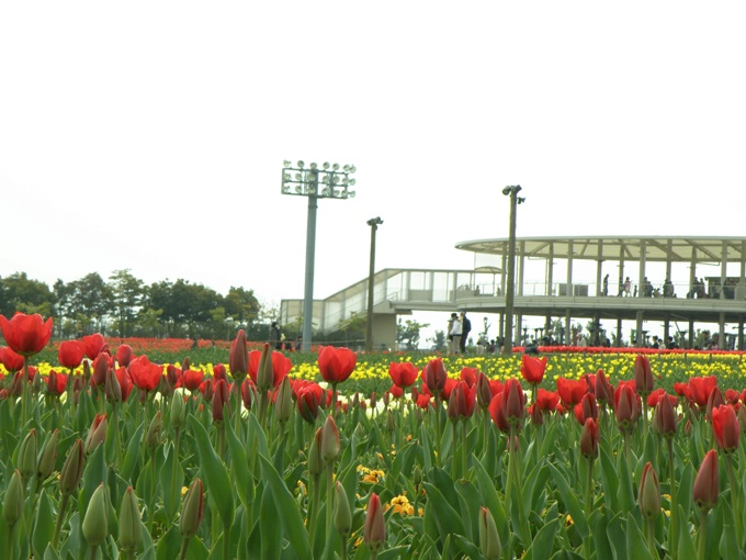 c0200895_1731222.jpg