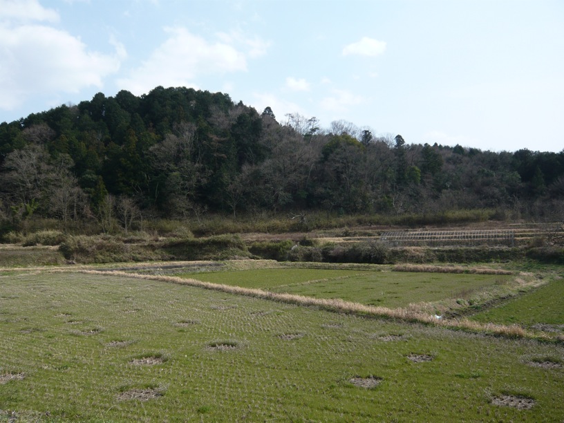 a0141498_21424717.jpg