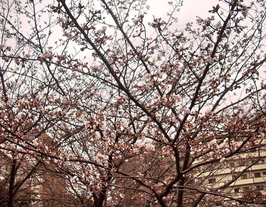 c0138198_15104456.jpg