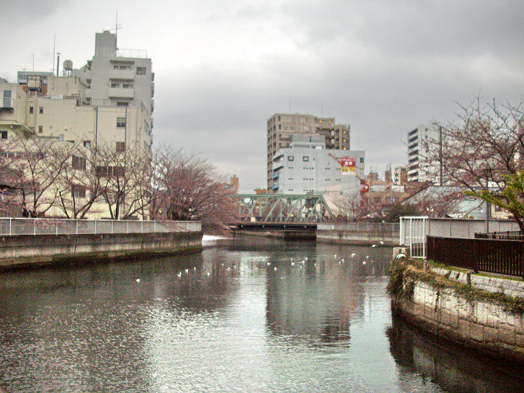 c0138198_157573.jpg