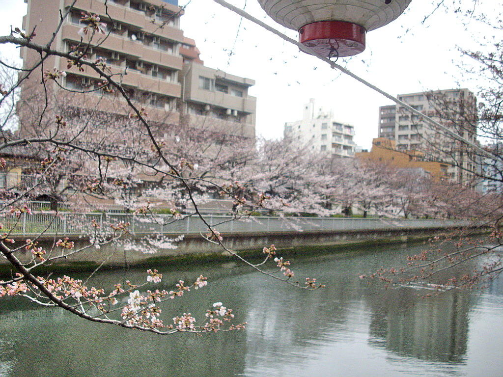c0138198_1594217.jpg