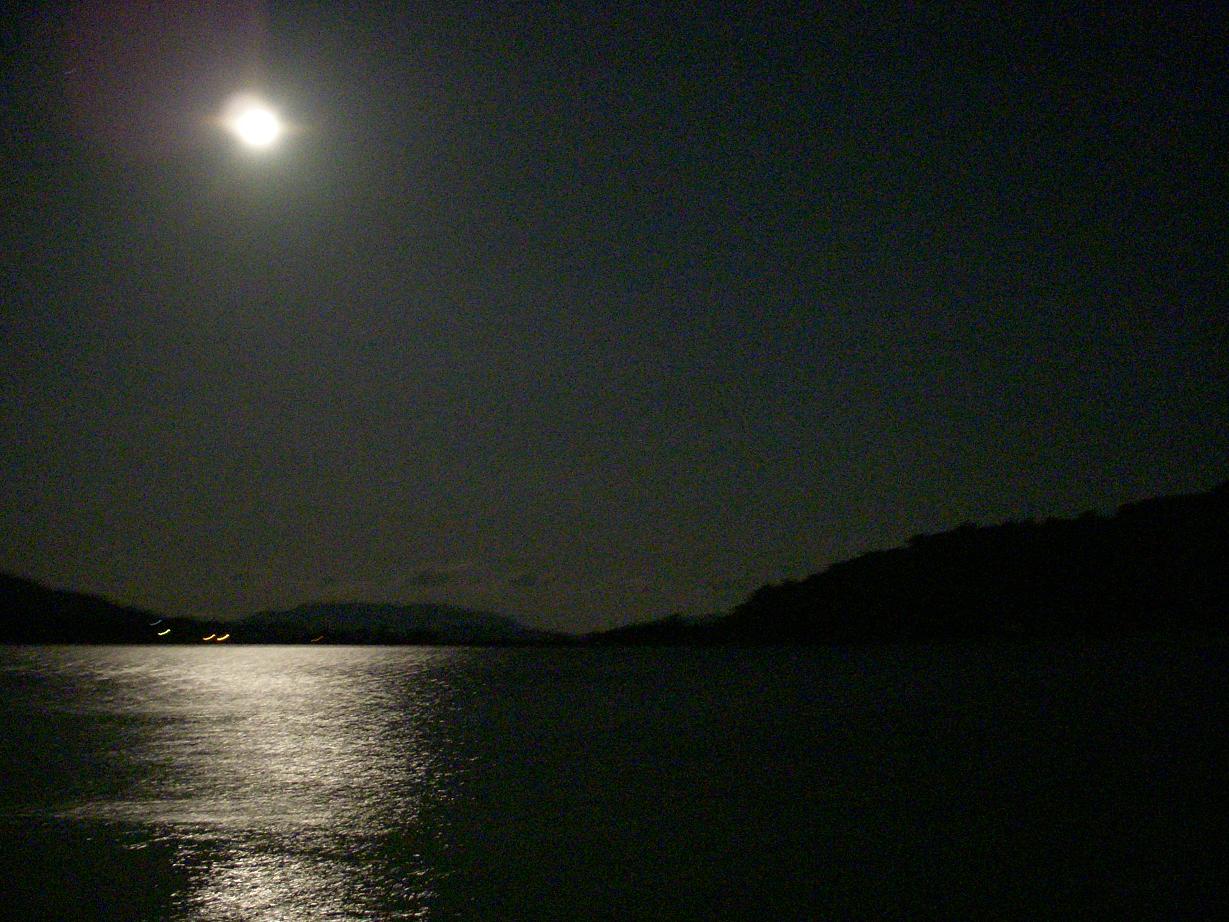 c0068901_2311574.jpg