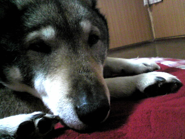 f0079202_17484035.jpg