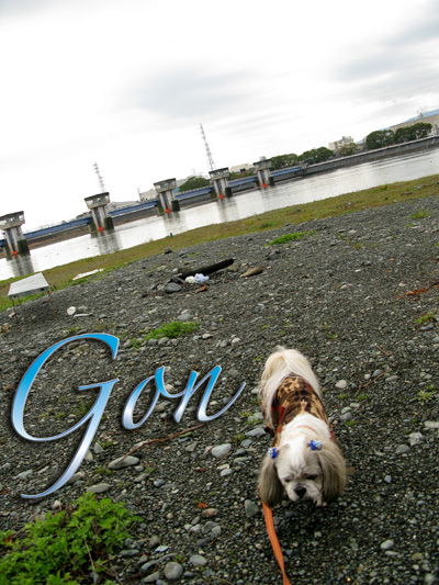 c0011204_20103043.jpg