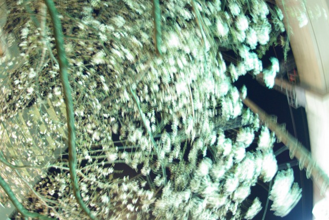 e0183804_21434585.jpg
