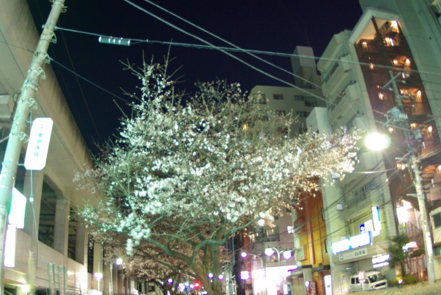 e0183804_2143961.jpg