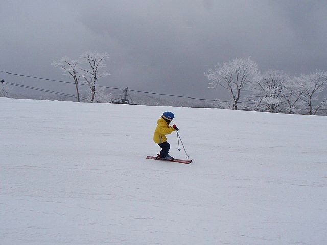 b0187505_173728.jpg