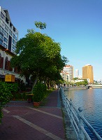 c0148705_10252562.jpg