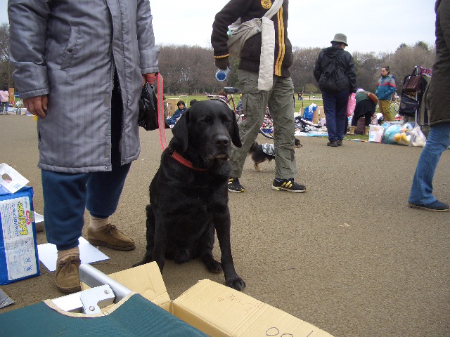 c0116610_031529.jpg