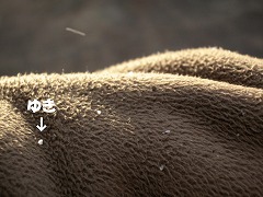 c0190010_20544046.jpg