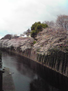f0129610_13305021.jpg
