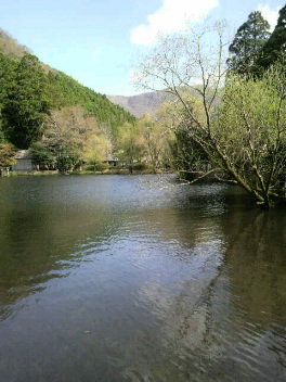 a0149612_21435375.jpg