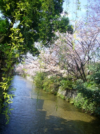 d0007913_1481759.jpg